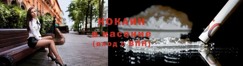 Cocaine Fish Scale  ОМГ ОМГ вход  Нальчик 